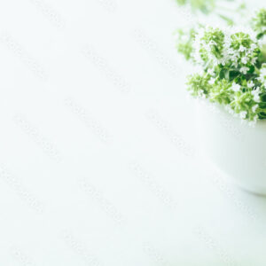 Botanicals